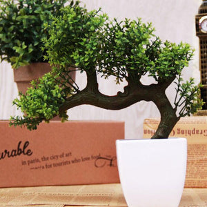 Artificial Pine Bonsai Tree
